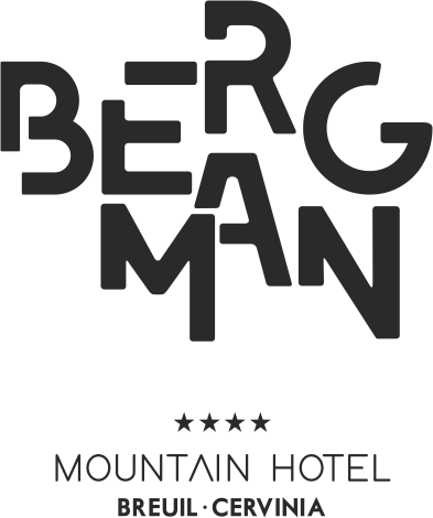 logo_bergman